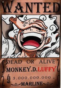 بک دراپ Wanted Monkey.D.Luffy