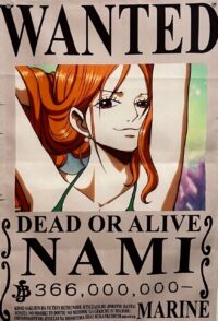 بک دراپ Wanted Nami