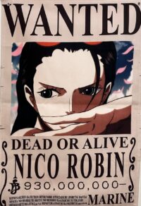 بک دراپ Wanted Nico Robin