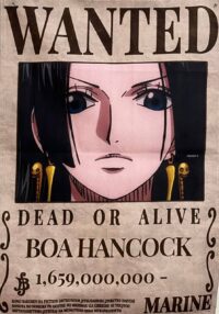 بک دراپ Wanted Boa Hancock